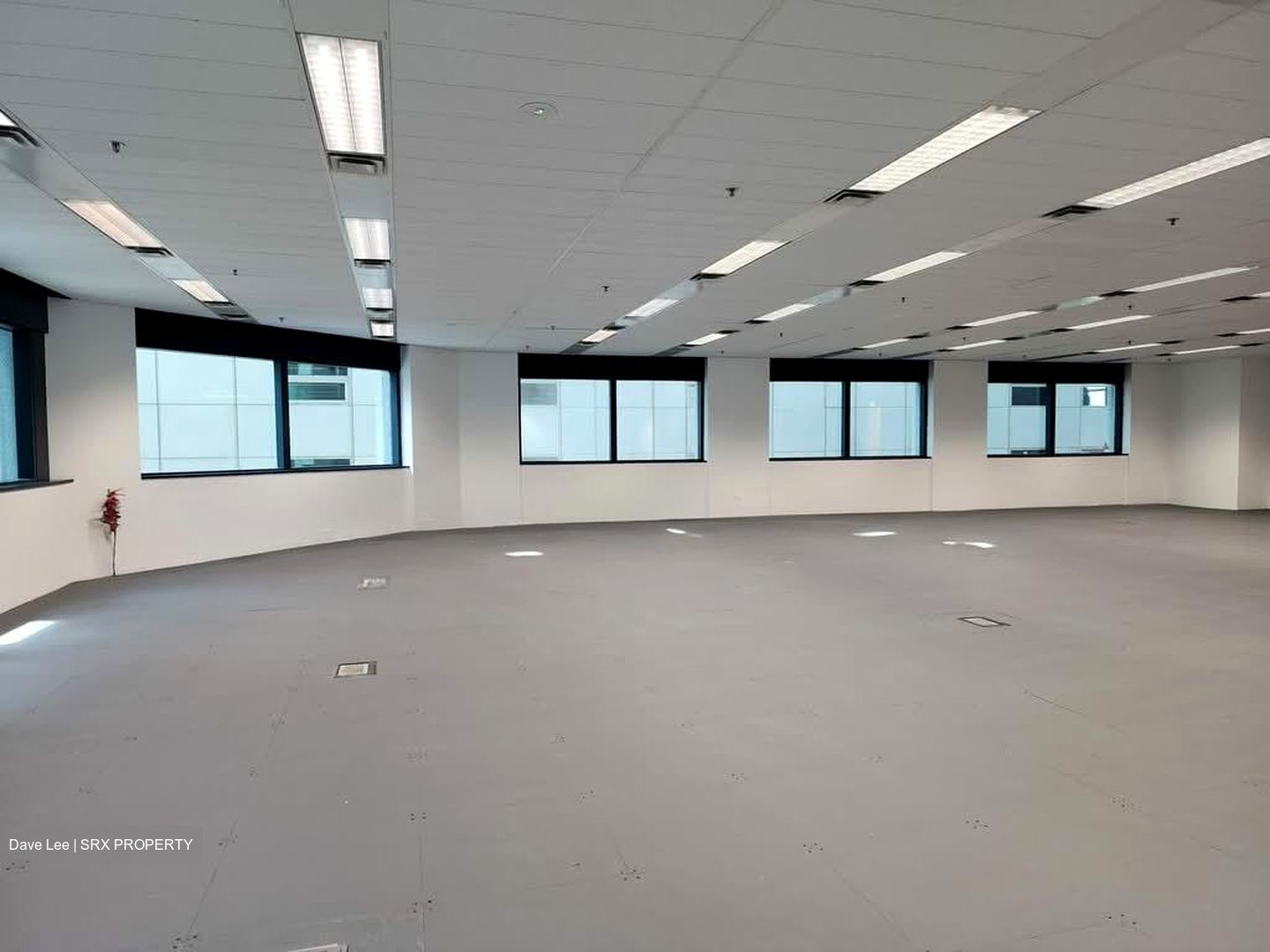 Robinson 77 (D1), Office #576577011